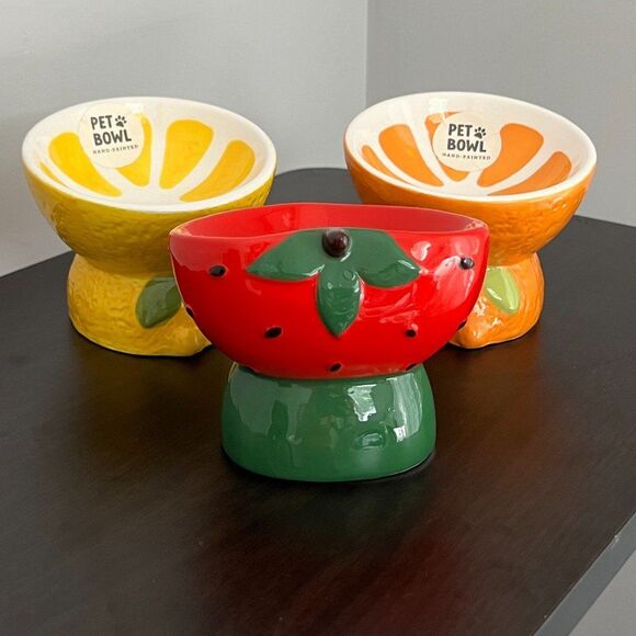 Ceramic Elevated and Tilted Fruit Cat Bowl Set - Picture 1 of 7